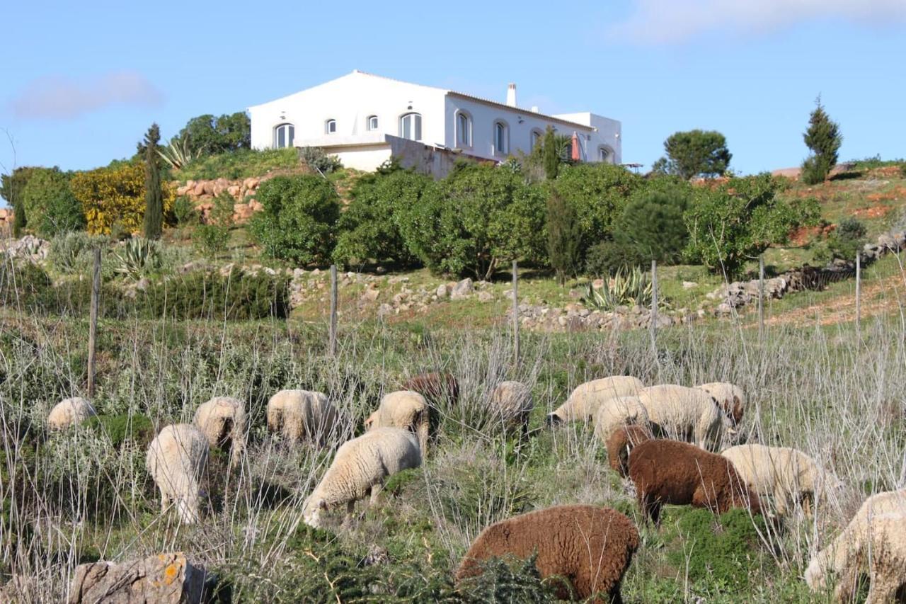 Casa Das Furnas - Eco Home 维拉多比斯坡 外观 照片